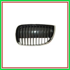 Griglia radiatore destra - griglia,