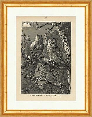 Quadro notturno dal bosco - quadro,