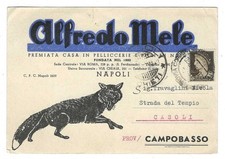 NAPOLI PELLICCE ALFREDO MELE VISITA A CAMPOBASSO VIAGGIATA 1940 FG #511