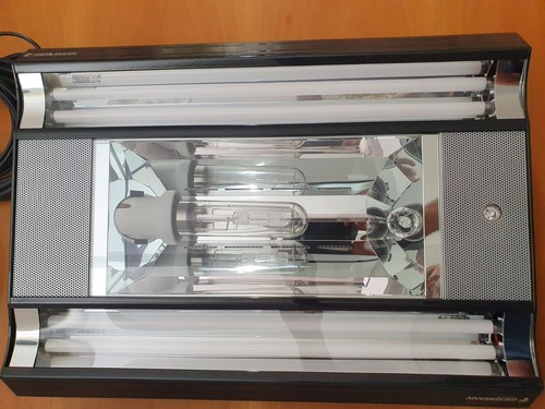 Giesemann spectra 250 - 250, hqi