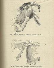 AGRARIA_VETERINARIA_ZOOTECHNIA