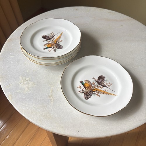 Vintage royal tara - vintage, fagiano