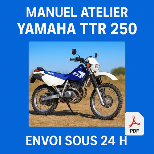 Manuel atelier yamaha - manuel, 250