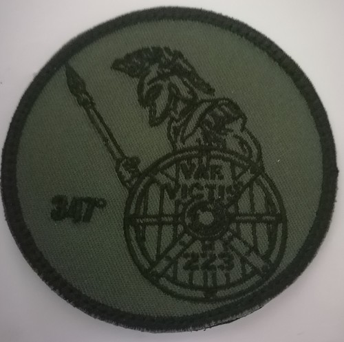 Vae victis 347 223 - vae,