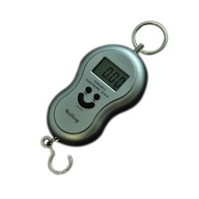 Portable Digital Scale Weighs