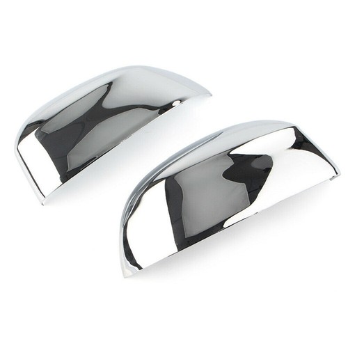 Coques coquilles - 2,