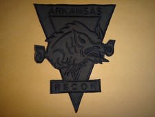 Patch Giacca Subdued 5Th SFG