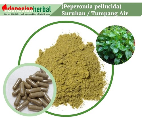 Capsula pure peperomia - capsula, (peperomia