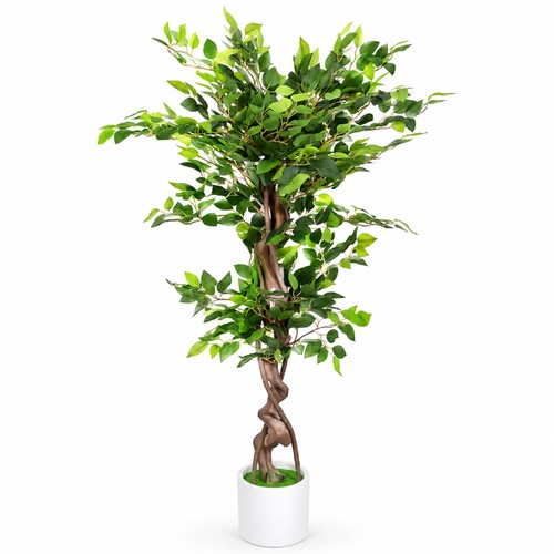 Albero ficus artificiale - albero, di