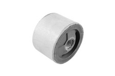 TEDGUM Supporto Motore