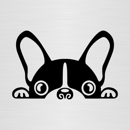 Pegatina bulldog frances - pegatina,