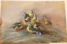 Antico dipinto olio su seta