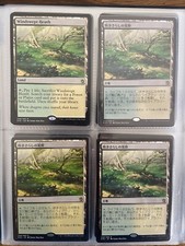 MTG 4x Windswept Heat Modern Horizons 2 MH2 Mint Japanese 3 Eng 1