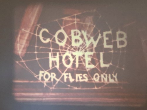 Cobweb hotel 1936 max - cobweb,