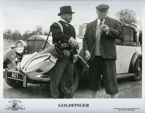 Foto stampa golfinger 8x10 - 8x10, in