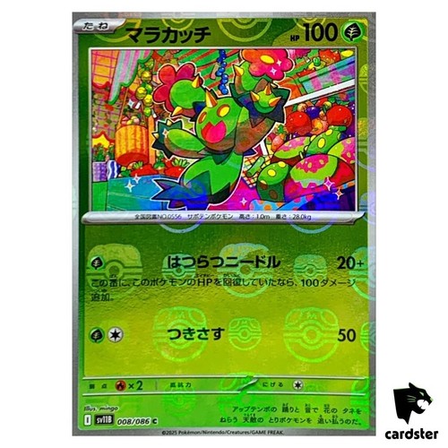 Maractus 008 086 - maractus, sv11b