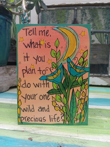 Quadro citazione mary oliver - quadro,