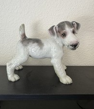 Efchenbach- Professor T Karner