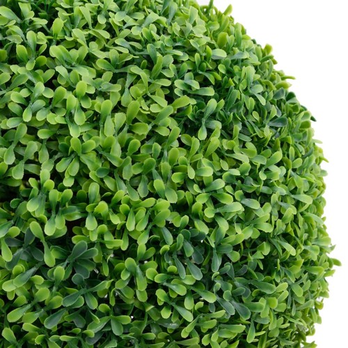 Vidaxl pianta bosso - vidaxl, di