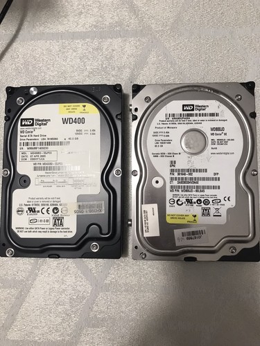 Hard disk 80gb 5 western - 80gb,