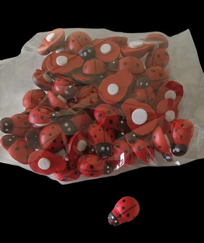 Lotto coccinelle laurea - 67,