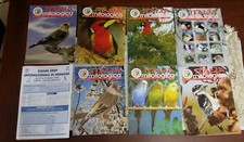 Lotto Italia Ornitologica 7 riviste anno 2009 per canarini e qualunque genere.