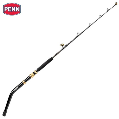 Canna pesca penn big game - big,