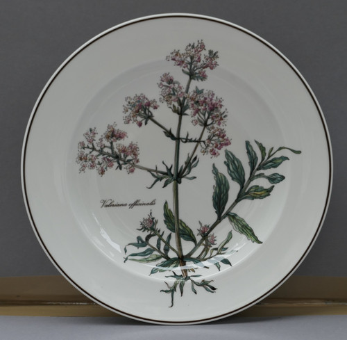 Villeroy boch botanica 1 di - villeroy,
