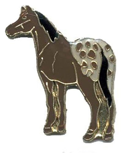 Appaloosa cavallo bicicletta - cavallo,