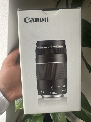Canon 300 4 - canon, mm