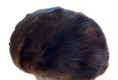 Cappello pelliccia di - in,