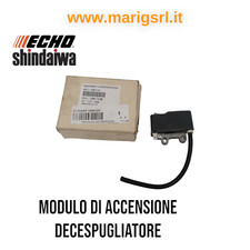 Modulo di accensione bobina ECHO decespugliatore SRM 235 236 237 TESL PPF236 ES
