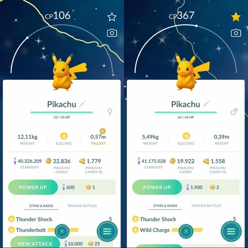 Pokemon pikachu lucido che - lucido,