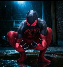Spider-Man Cosplay spiderman