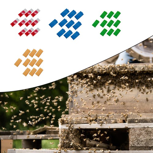 Pezzi gabbie per api - pezzi,