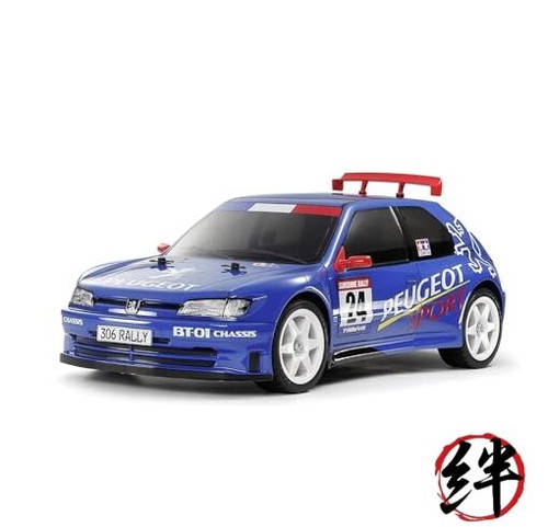 Auto radiocomandata elettrica