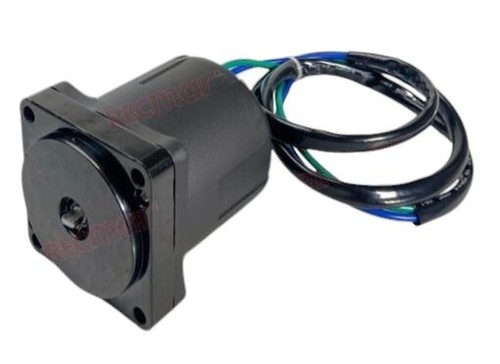 Decespugliatore evinrude - decespugliatore,