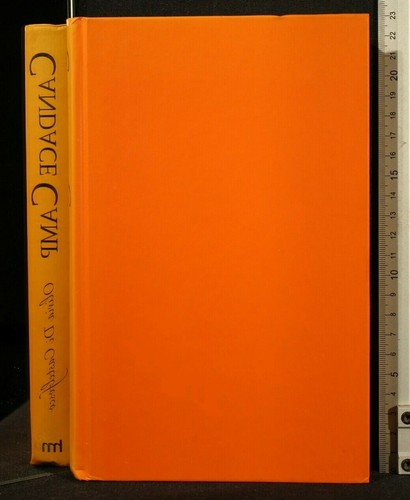 Olivia castelfosco candace - olivia, castelfosco.