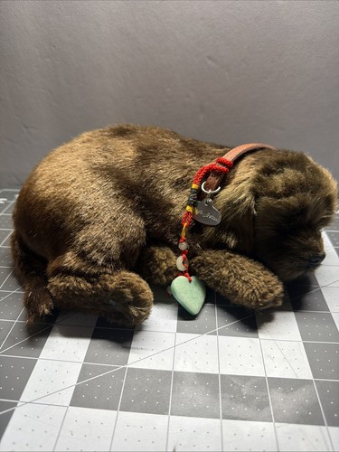 Perfetto petzzz marrone - petzzz,