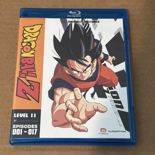 Dragonball level 1 - z:,