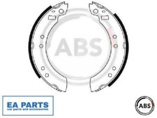 SET SCARPE FRENO PER DAF FORD