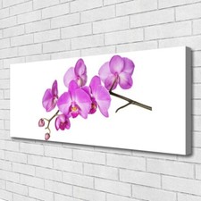 Stampa su Tela Canvas 125x50