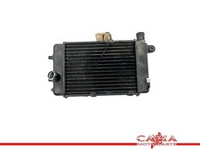 Aprilia Tuono RSV 1000 (+