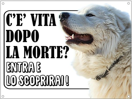 Targa cartello attenti cane - targa,