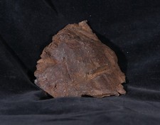 Sikhote Alin meteorite
