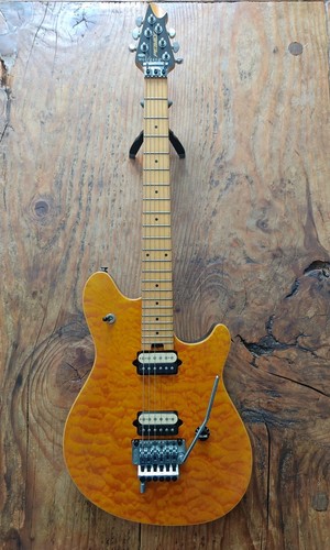 Evh peavey wolfgang special - wolfgang,
