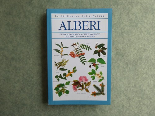 Biblioteca natura alberi - biblioteca, di