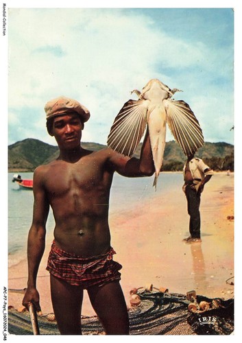 Apcp7 0455 guadeloupe - apcp7-0455-guadeloupe, pesce