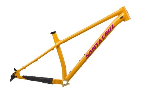 Santa cruz chameleon - santa,