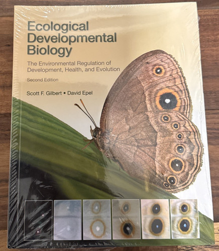 Ecological developmental - ecological,